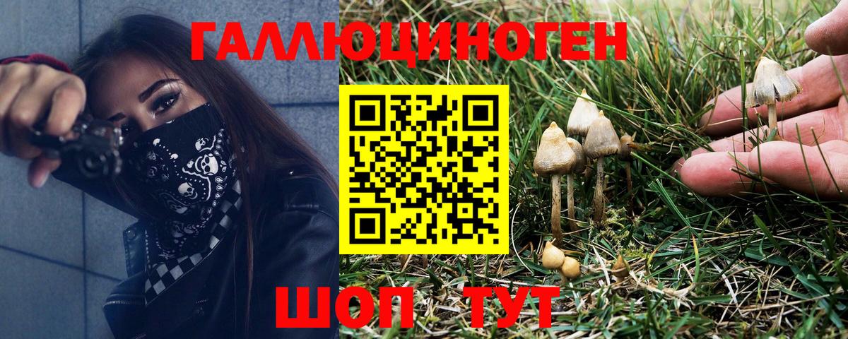 Галлюциногенные грибы ЛСД  Вход с VPN  Чернушка 