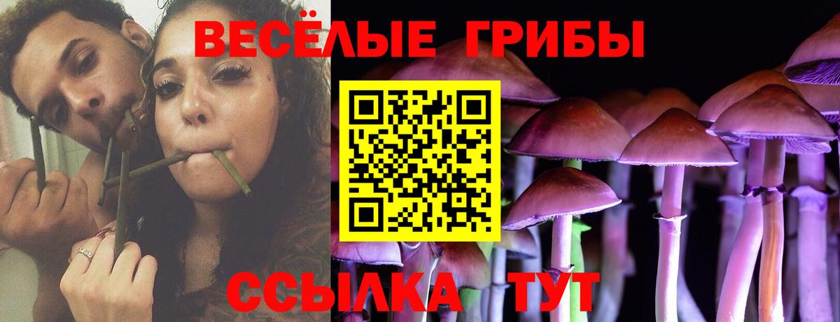 Галлюциногенные грибы ЛСД Чернушка
